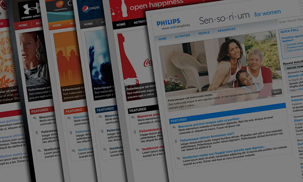 communispace_portTemplate_2012