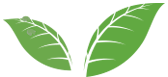 leaf1